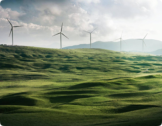 Drive Green Innovation